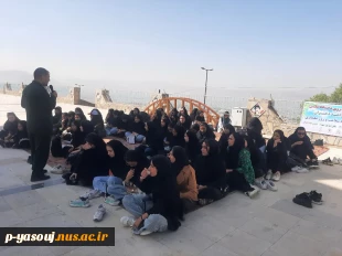 به مناسبت روز معماری برگزار شد: همایش بزرگ پیاده روی دانشجویان رشته معماری اموزشکده ملی مهارت دختران یاسوج 5