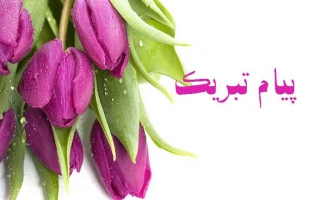 پیام تبریک رئیس دانشگاه ملی مهارت استان کهگیلویه و بویراحمد در پی انتخاب عضو هیات علمی دانشگاه ملی مهارت استان به عنوان عضو شورای مرکزی سازمان نظام مهندسی ساختمان کشور