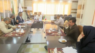 برگزاری نشست شورای پژوهشی دانشگاه ملی مهارت استان کهگیلویه و بویراحمد 6