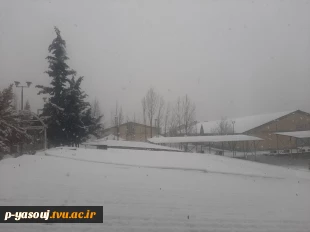 نمای برفی دانشگاه ملی مهارت استان کهگیلویه و بویراحمد در روز یکشنبه مورخه 1404/11/05 7