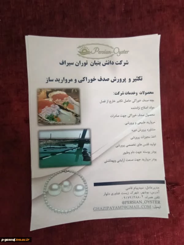 برگزاری اردوی راهیان پیشرفت با حضور اساتید و کارکنان دانشگاه  ملی مهارت  استان کهگیلویه و بویراحمد 2