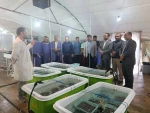 برگزاری اردوی راهیان پیشرفت با حضور اساتید و کارکنان دانشگاه  ملی مهارت  استان کهگیلویه و بویراحمد 5