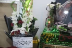 گزارش تصویری  10