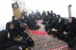 گزارش تصویری  15