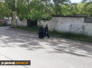 برگزاری همایش پیاده روی به مناسبت هفته معلم و تجلیل از مقام استاد،  با حضور کارکنان و اساتید  دانشگاه ملی مهارت استان کهگیلویه و بویراحمد 10